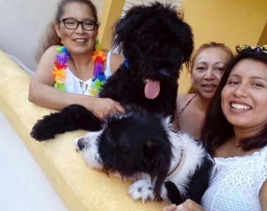 Ludoteca Canina