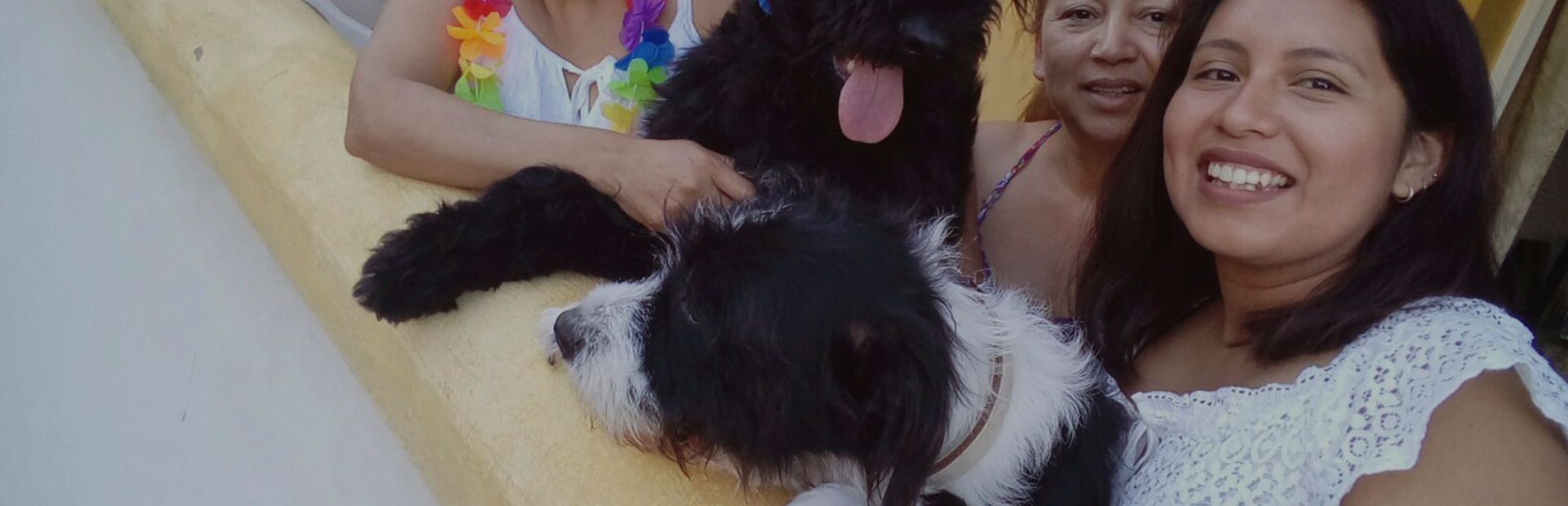 Ludoteca Canina