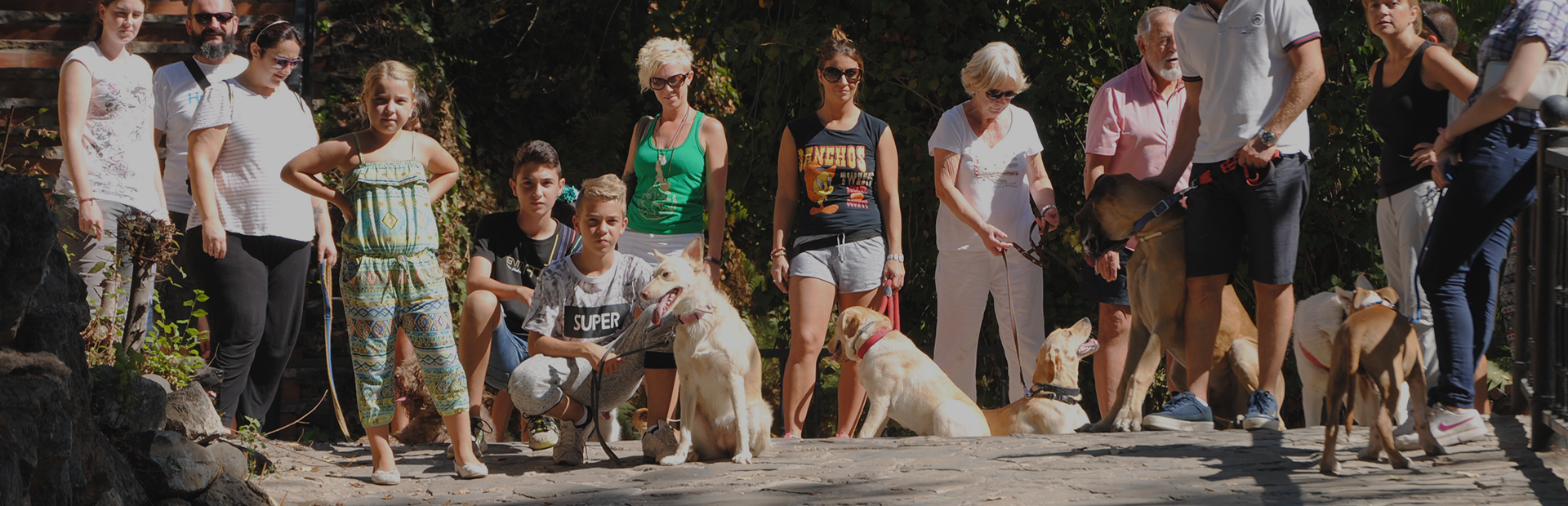 Adiestramiento Canino Grupal